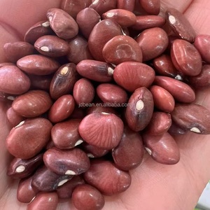 <strong>India</strong> Market Dark Red <strong>Kidney</strong> Bean Type Dried Small Red <strong>Kidney</strong> Bean - Product Image 4