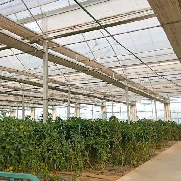 トンネルプラスチックフィルム温室野菜/花/トマト/ガーデンマルチスパン温室