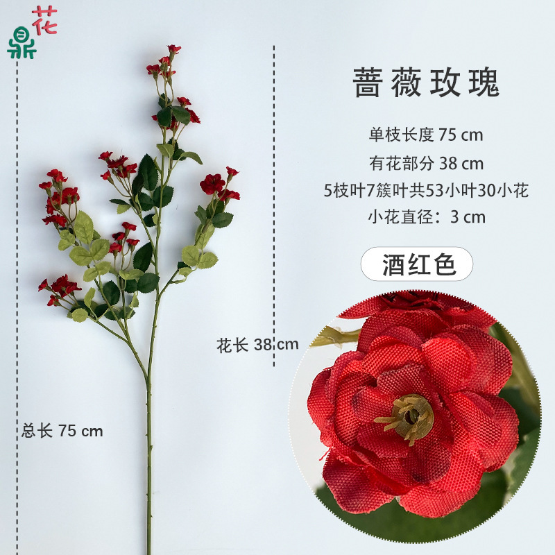 Rose, wine red