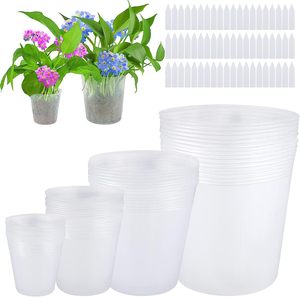 Bitkiler için fide saksısı yumuşak şeffaf plastik ekici 5 inç bitki vazosu şeffaf Pot - Product Image 1