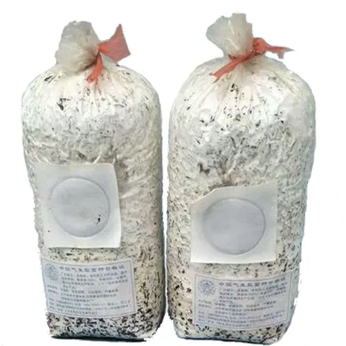 Durchsichtiger Kunststoff-Seitenfalten-Mylar-Beutel mit Filter pflaster für den Pilzzucht