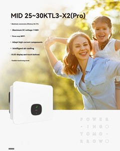 Sistema fotovoltaico solar FUERA DE LA RED Directo de fábrica con batería de litio inversor monofásico de 60Hz voltaje de salida trifásico de 380V - Product Image 6