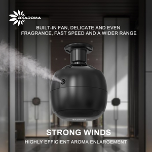 Nebulizzatore elettrico per camera di aspirazione da soffitto con filtro per aromaterapia senza acqua con diffusore di olio essenziale