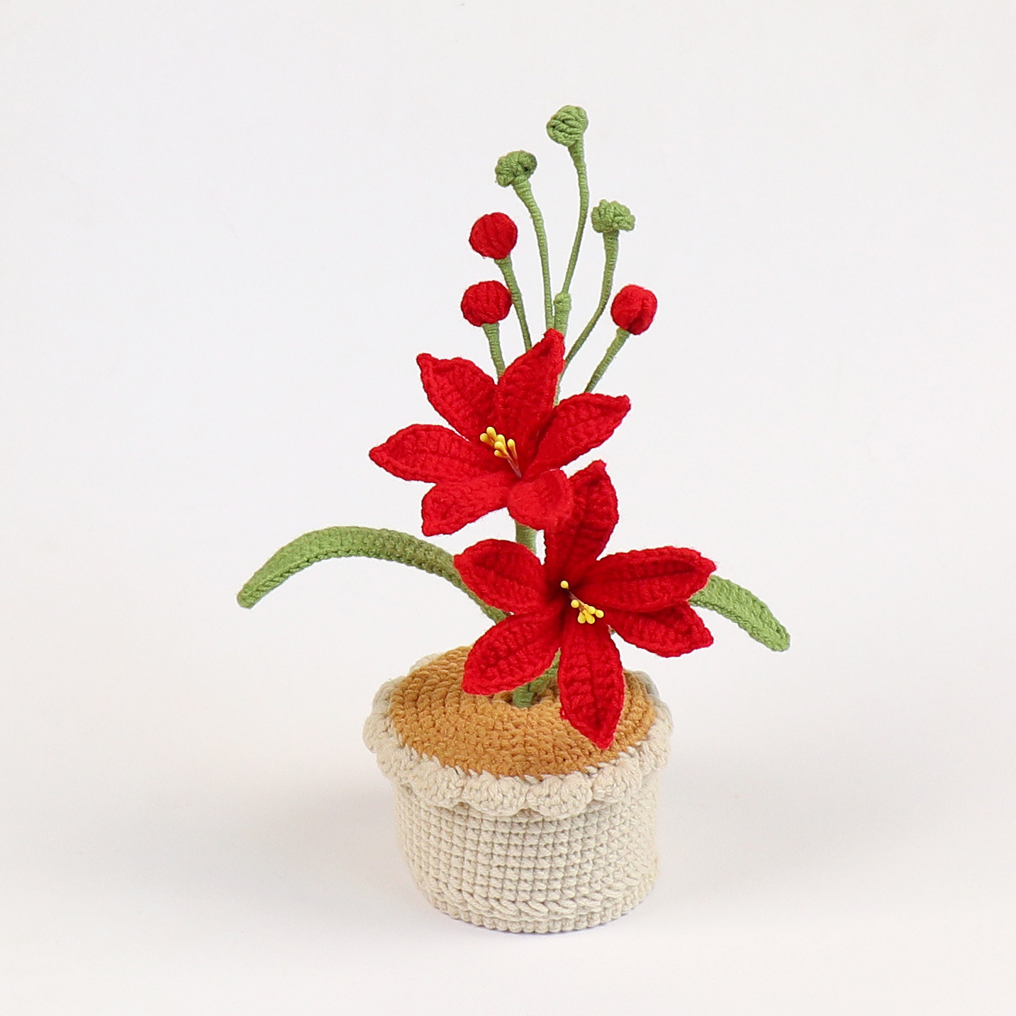 Planta en maceta de lana azul rojo Marte