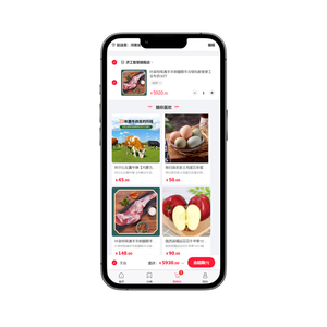 B2B E-Commerce Website-Entwicklung Webdesign-Entwicklung Android IOS Mobile Apps Linux DOS