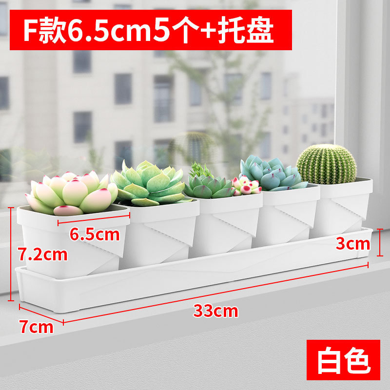 Style F, blanc, 6,5 cm, une rangée, plateau de 5