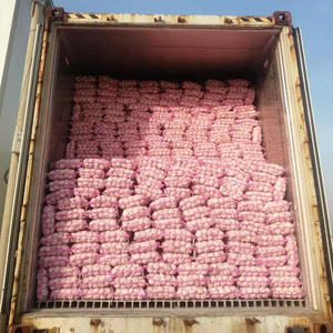 Рыночная цена на очищенный чеснок/свежий белоснежный чеснок/свежий чеснок нормальный белый чистый белый - Product Image 6