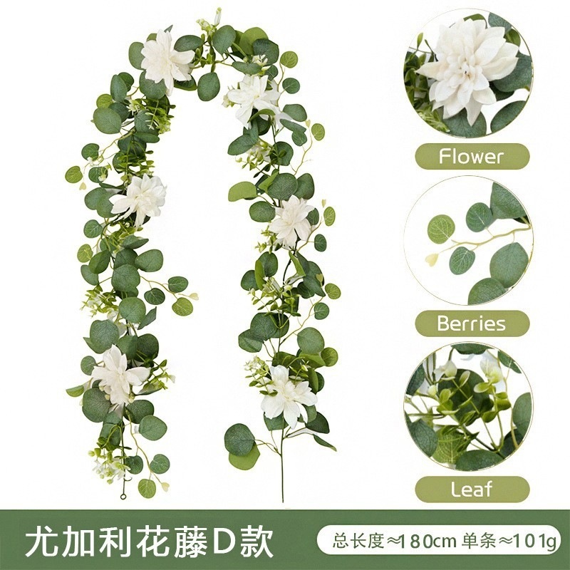 Vigne d'eucalyptus D