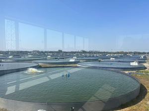 Chất lượng cao cá hồ bơi nuôi sử dụng rộng rãi cá rô phi ao cá ngoài trời nuôi cá xe tăng - Product Image 2