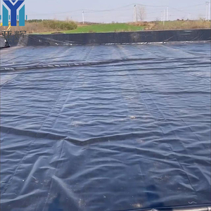 ASTM standart HDPE LDPE LLDPE PVC balık gölet Liner geomembran - Product Image 6