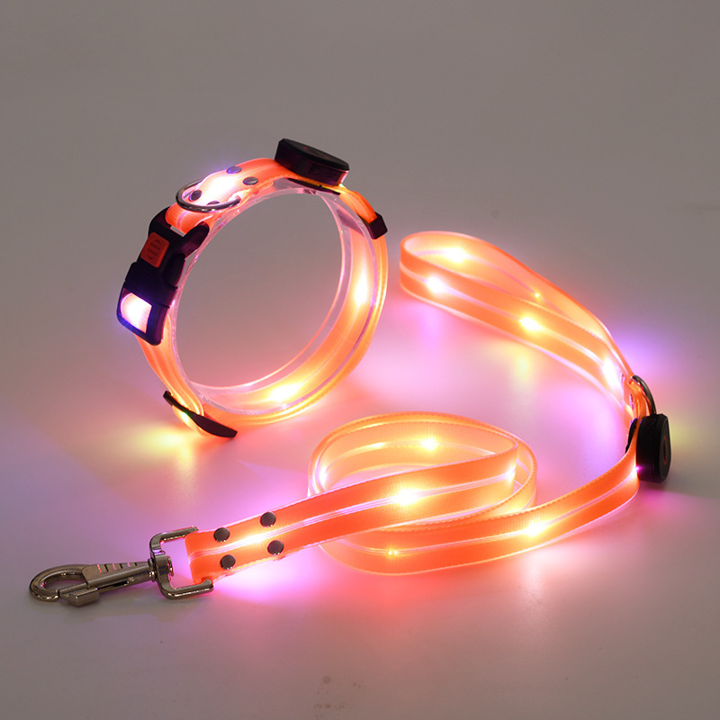 Laisse orange pour chien avec anneau - 5 bandes de couleur - En stock - Prêt à être expédié