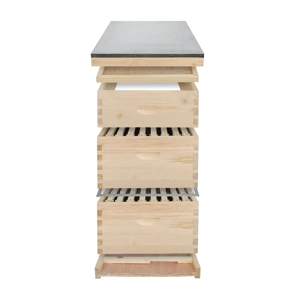 Boîte à abeilles en bois ruches à miel kit de ruche d'abeilles langstroth équipement d'apiculture ruche d'abeilles en bois