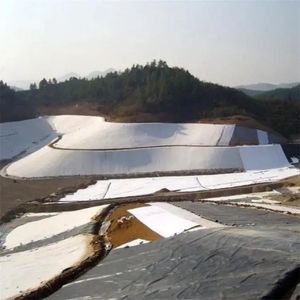 用于室外湖泊的高品质黑色高密度聚乙烯土工膜衬垫LLDPE & LDPE工业设计，表面光滑 - Product Image 2