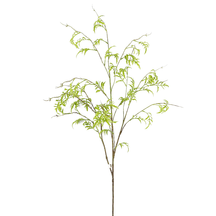 สีเขียว