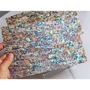 Bán buôn paua Tấm vỏ bào ngư tự nhiên Tấm vỏ cho đồ nội thất nhạc cụ - Product Image 1