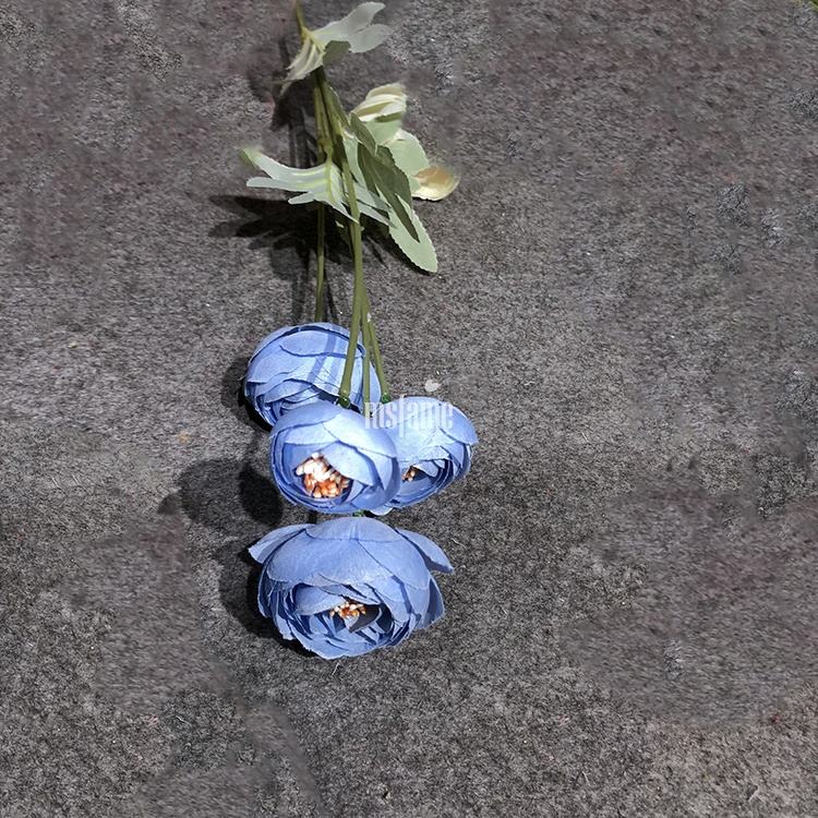 กุหลาบสี5