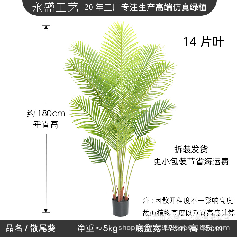 180cm loose anemone-a