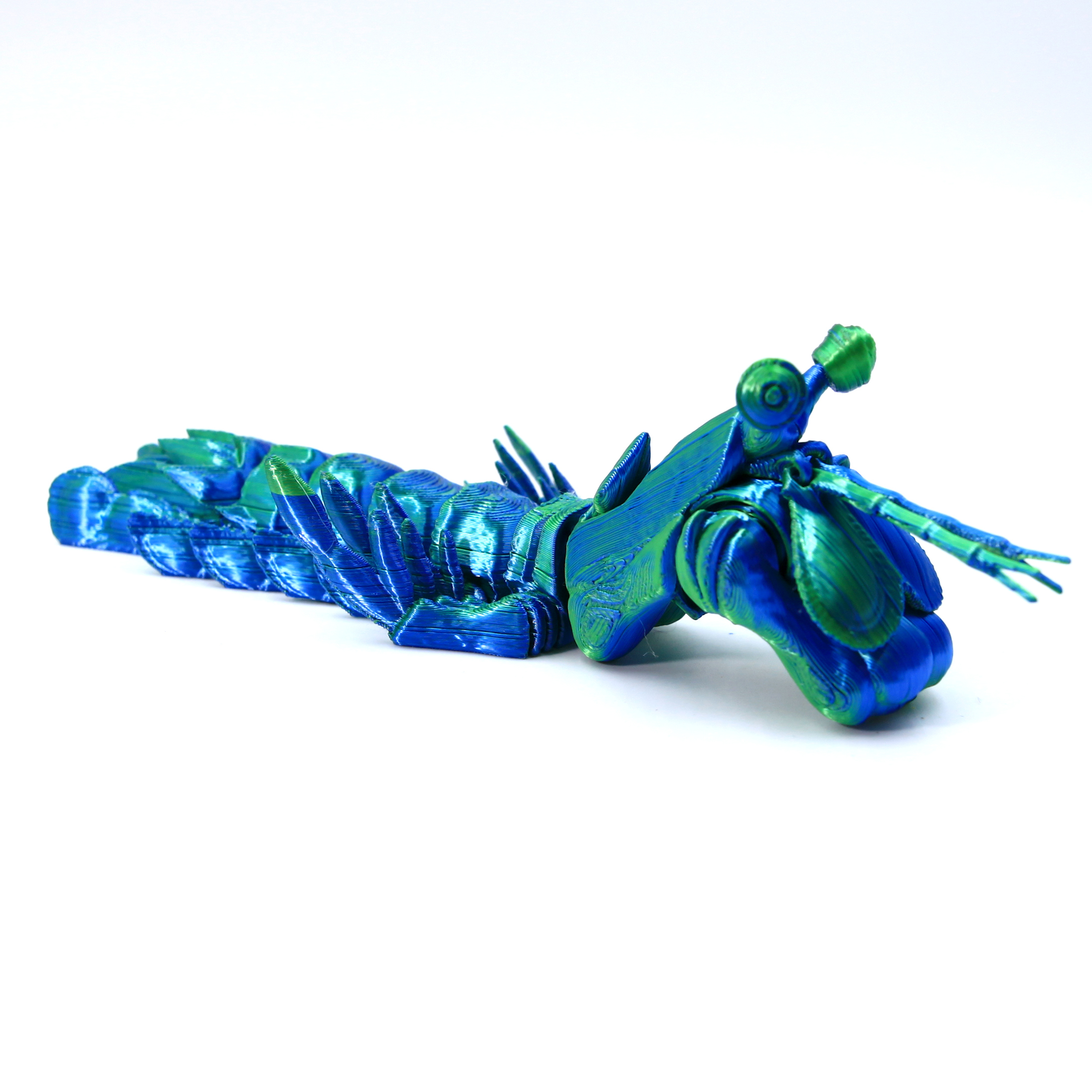 Camarón de piel azul verdoso de 17 cm.