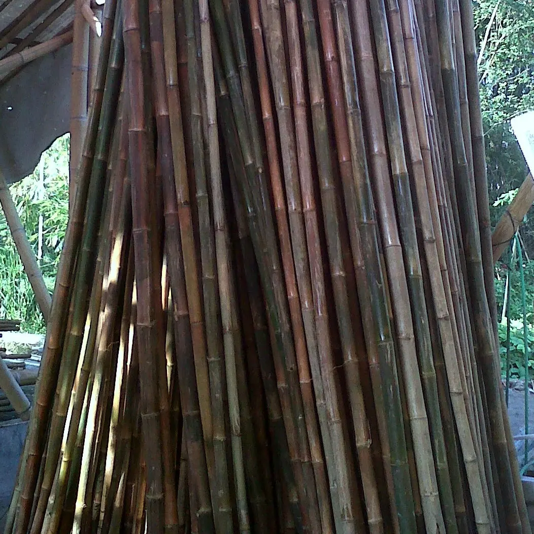 Pôle de traitement du bambou, pôle en acier inoxydable