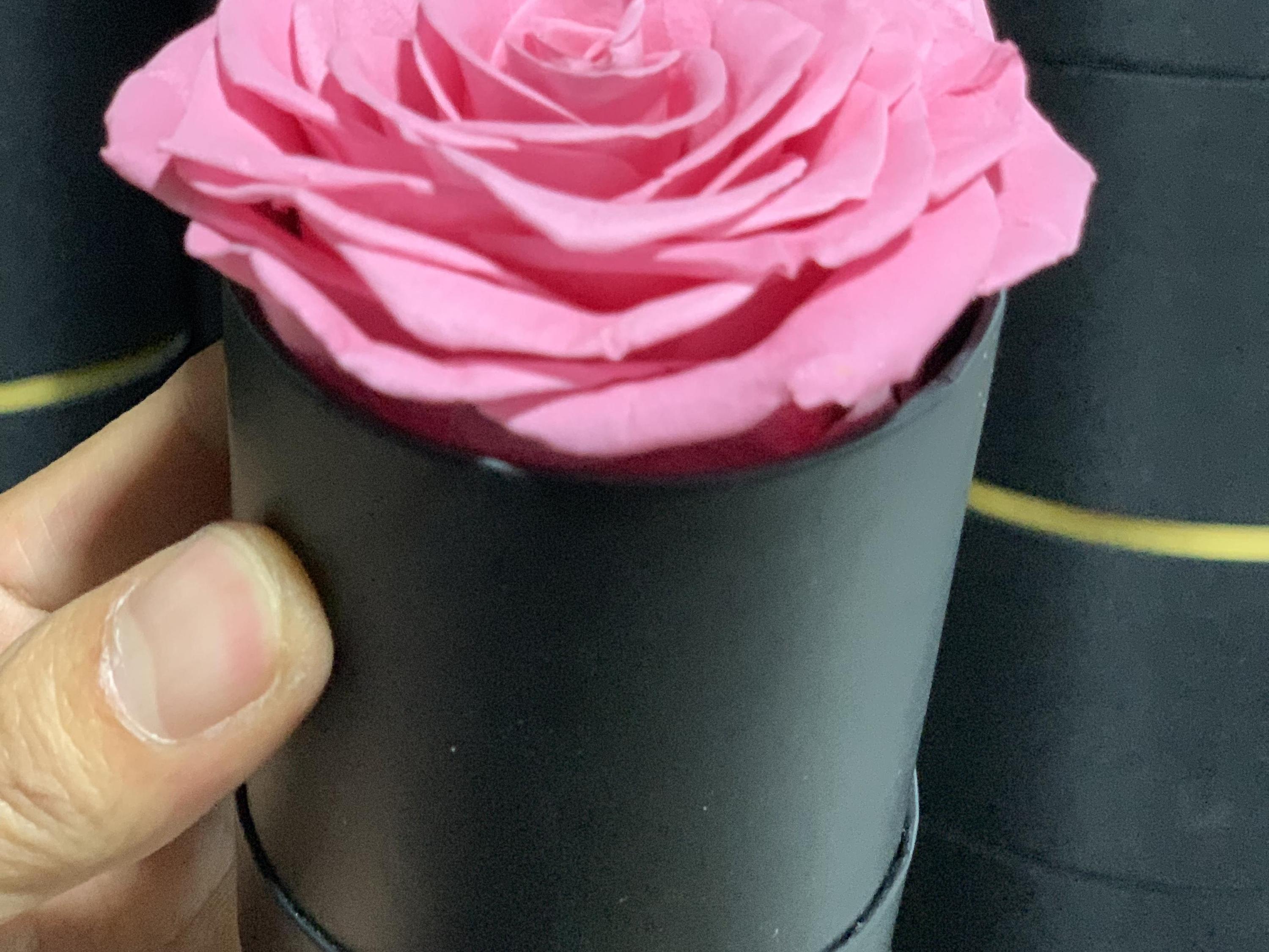 sweet pink
