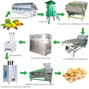Fully Automatic Steaming Peeling Grading <strong>Sorting</strong> Cooking Crusher Cashew Nut <strong>Shelling</strong> Processing <strong>Machine</strong> Production Line - Product Image 4