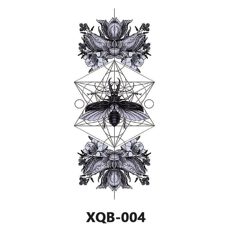 XQ-004