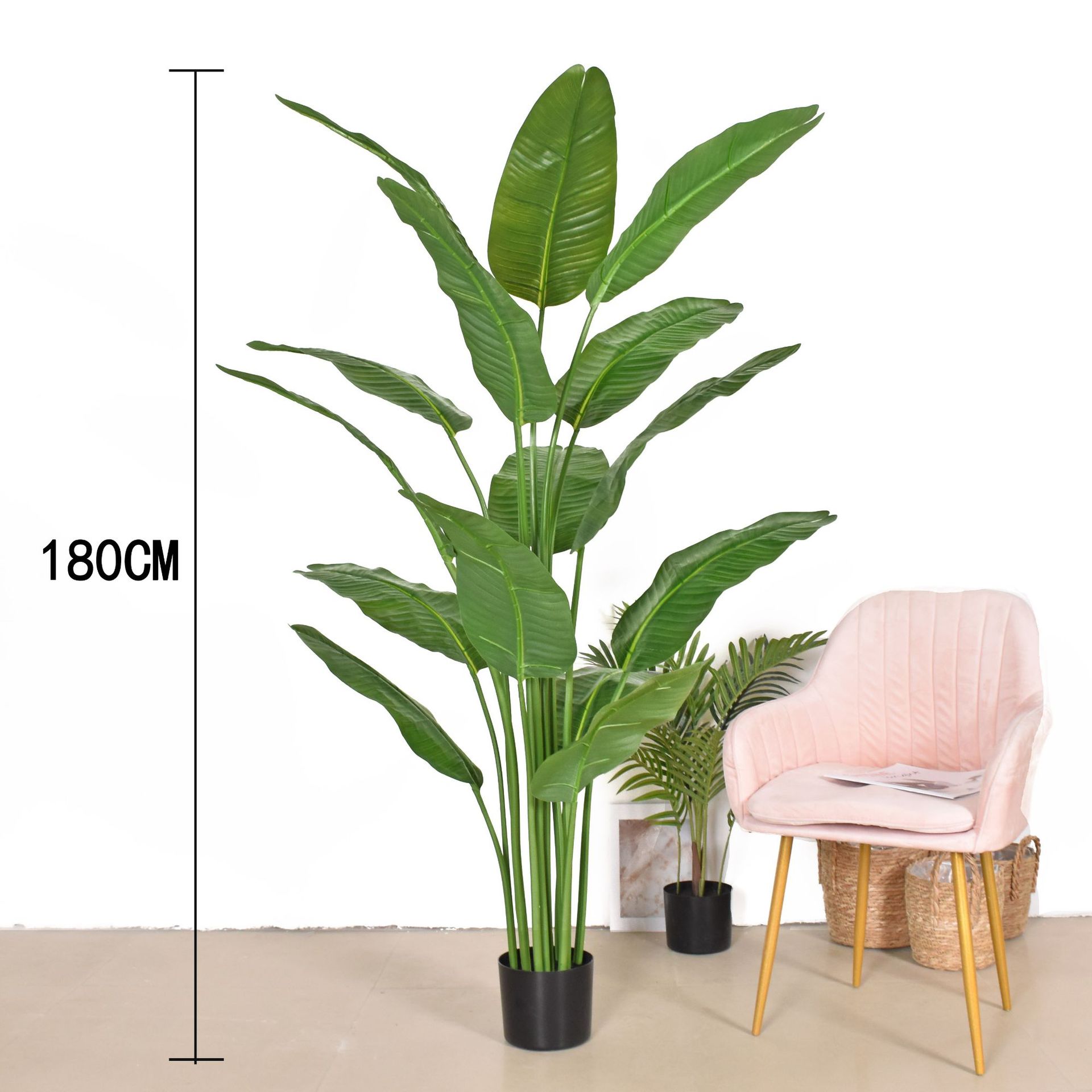 18m-bird of paradise 15 leaves simulation