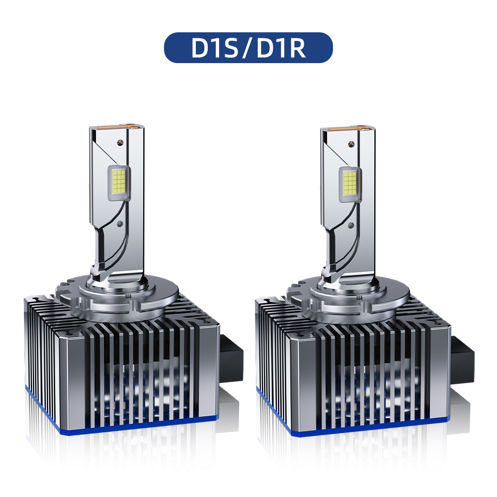 D1S