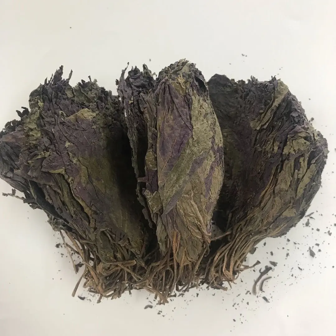 5020 Zi Su Ye High Quality Natural Herb Tea Dried Folium Perillae Whole Bundles Purple Perilla Leaf Tea