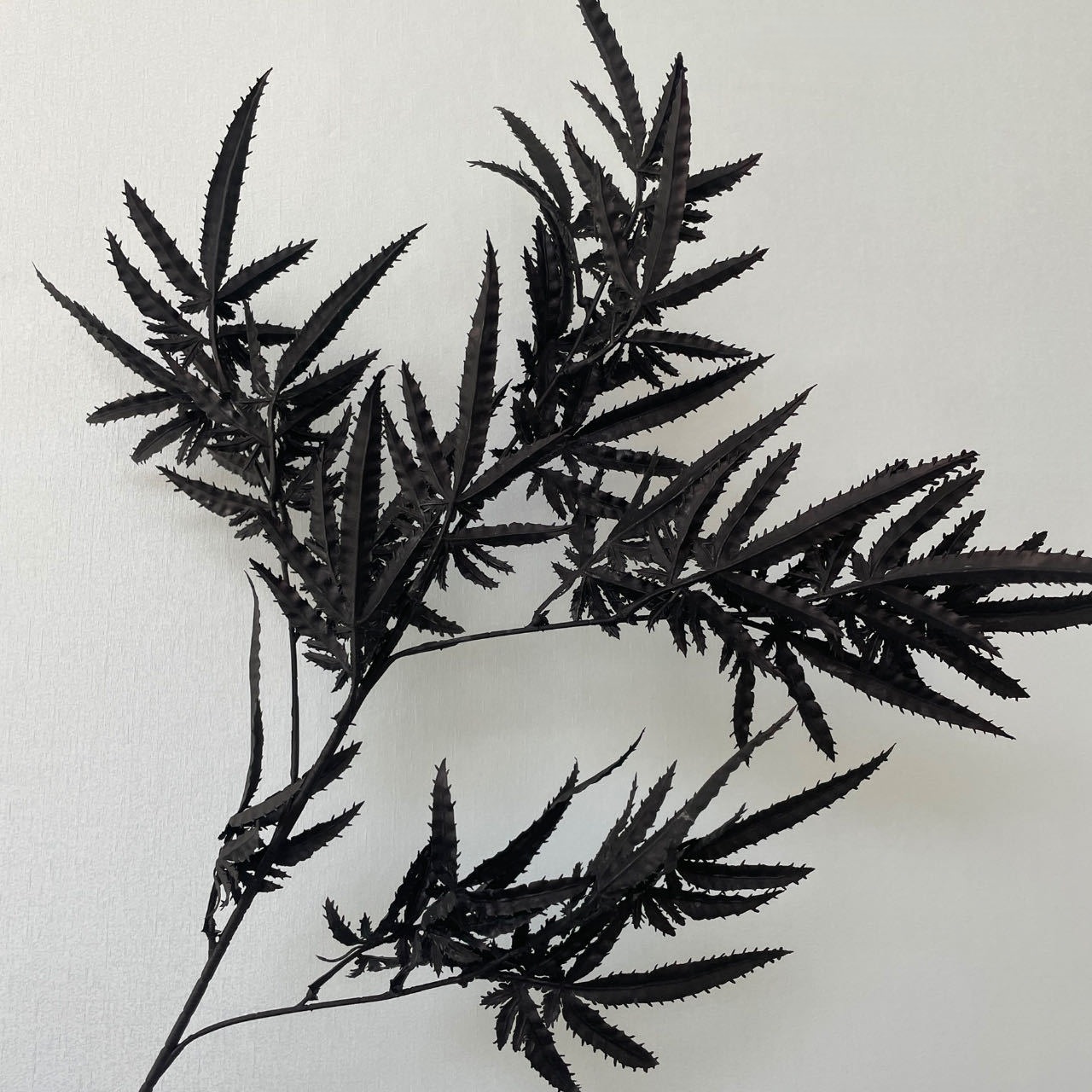SPR-DZ-BLACK-C