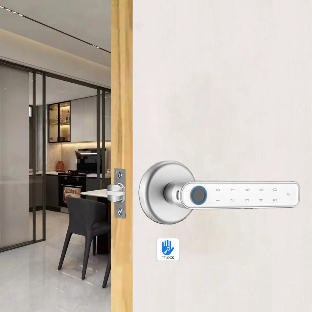 Pulido Ttlock App Security Wireless Waterproof Password Keyless Fingerprint Smart Door Lock With Touch-screen Keypad