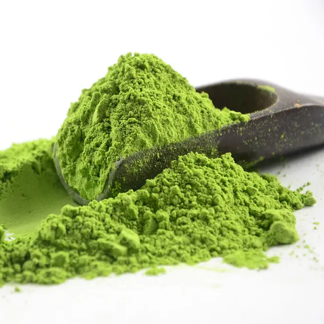 Poudre de thé vert Macha de haute qualité, échantillon gratuit, poudre de Matcha instantanée, supplément sain, poudre instantanée