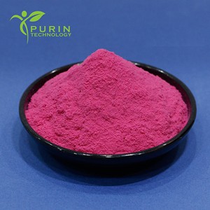 Factory Supply Raspberry Powder Raspberry <strong>Juice</strong> Powder Spray-Dried Fruit Powder Solid Beverage <strong>Raw</strong> Material