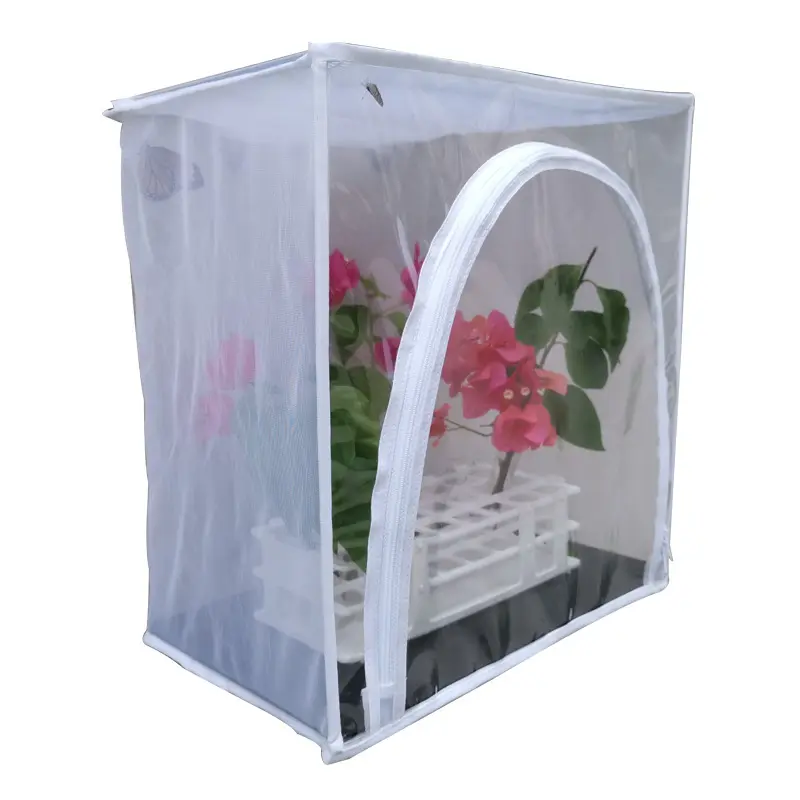 400 pieces / carton , 250 g White butterfly cage are used for playing with the insects as well as spent time with family