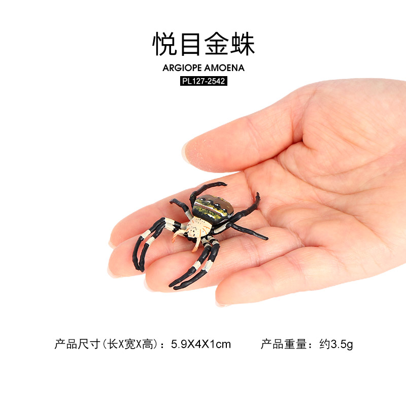 2542 Araña Argiope amoena