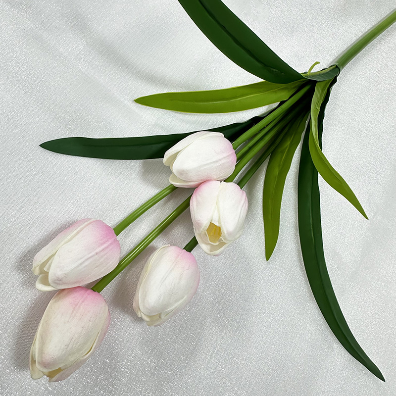 Rose blanc