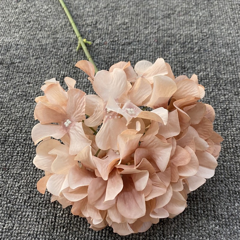 Single branch candy hydrangea shallow coffee