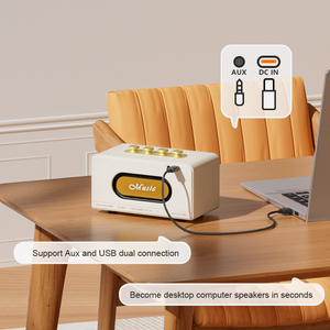 Máquina Karaoke Bluetooth sem fio-alto-falante portátil para festas ao ar livre, dança, DJ Sets e uso do computador
