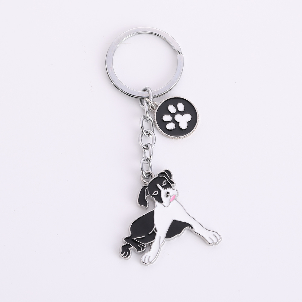 Pod Boston Terrier