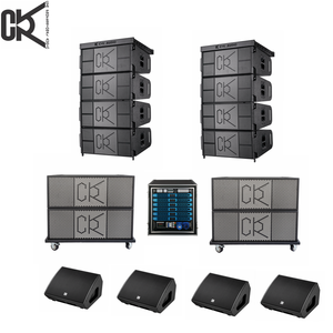 Profession elles Audio 12 Zoll Line Array System - Product Image 6