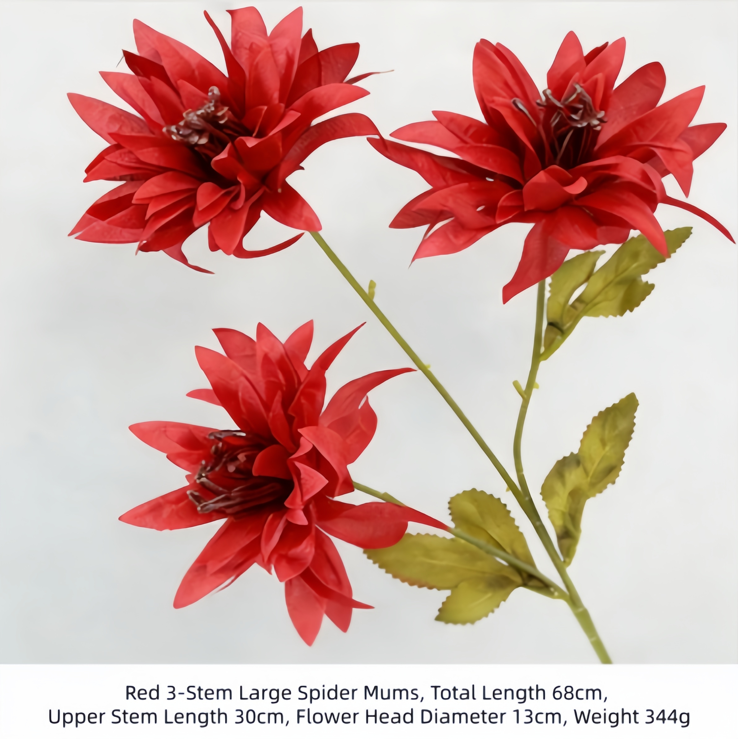 Mums araignées à 3 tiges