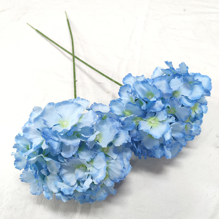 #4Blue