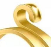 หัวเดียวสีทอง