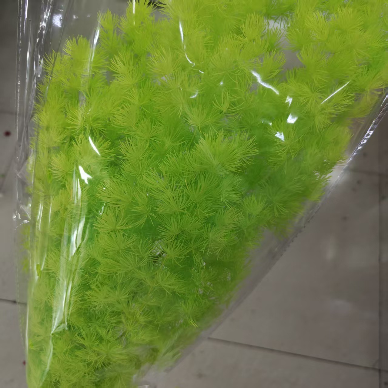 Fruit green