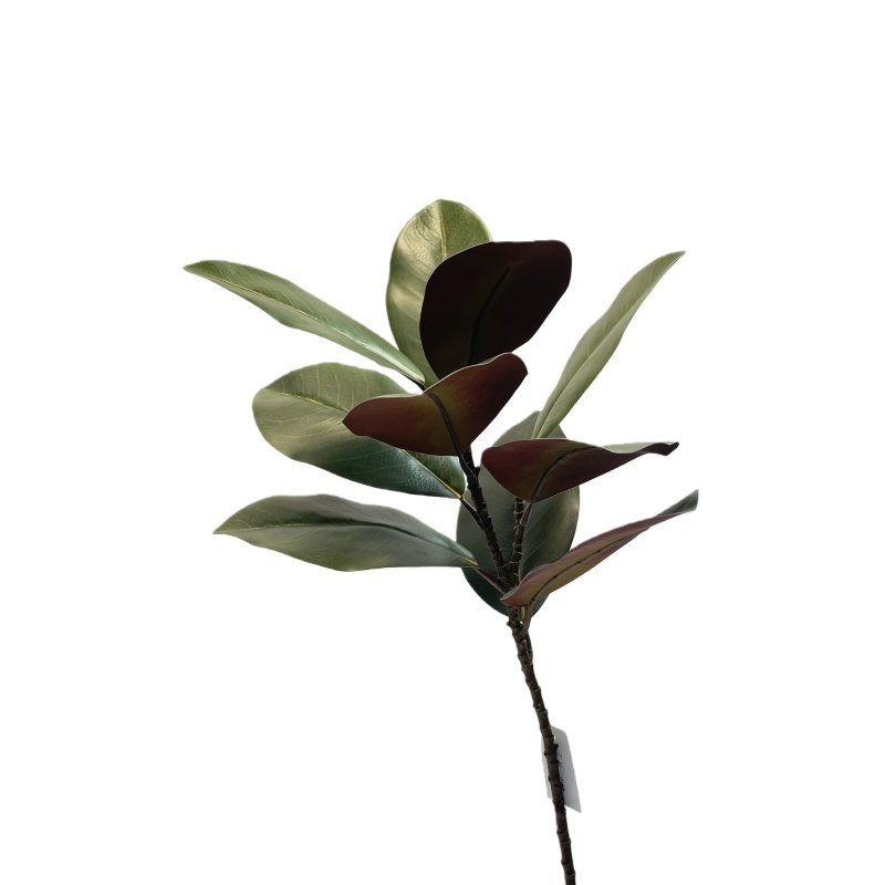 Verde66CM