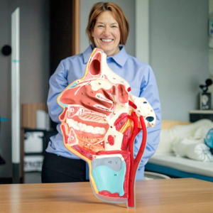 GD/A18108 PVC Anatomical Model Medical Science Mouth Nose Pharynx and <strong>Larynx</strong> with Vessels and <strong>Nerves</strong> for School Use - Product Image 3