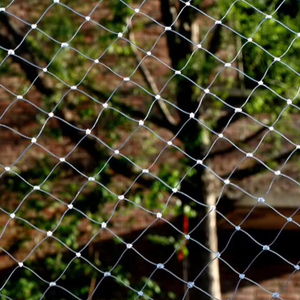 Agricultural 3m*50m 60gsm Anti Bird <strong>Net</strong> for Prevent Fruits From Birds and Insects - Product Image 1