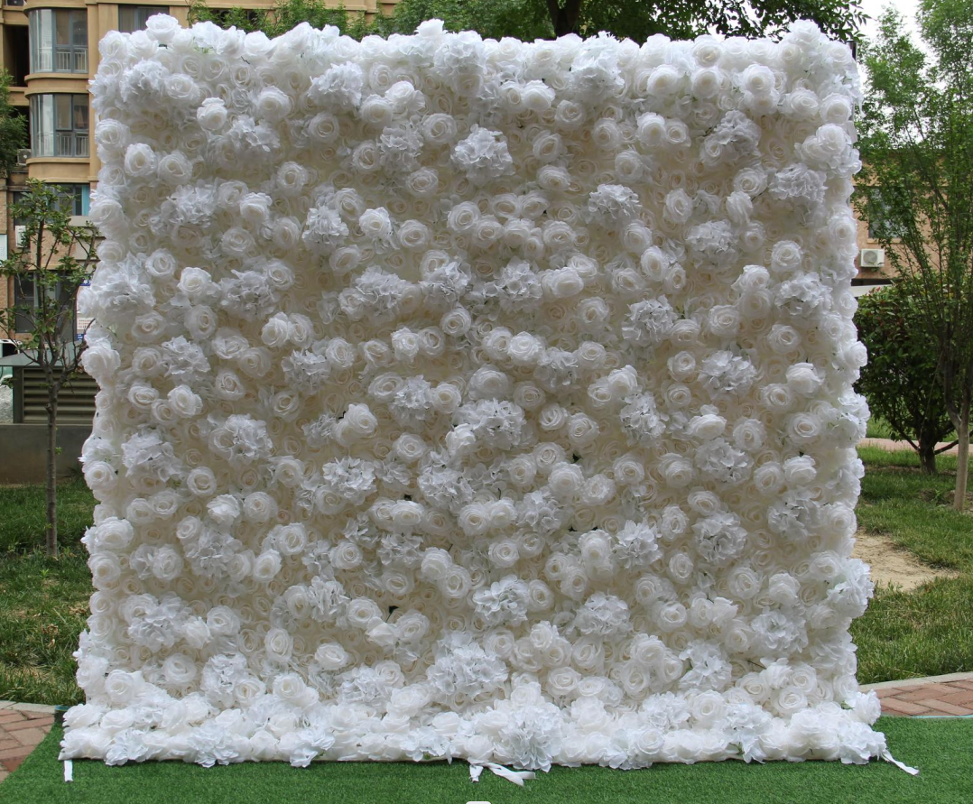 rose flower wall