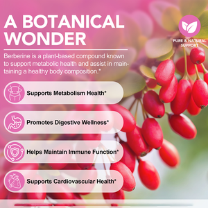 Solotree 30 pcs phân hủy sinh học không thấm nước Vegan giảm cân berberine các bản vá lỗi cho sự trao đổi chất hỗ trợ sức khỏe - Product Image 4