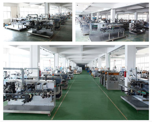 Servo getriebene Karton ier maschine Horizontal Push Feeder für Teebeutel-und Sachet-Box-Verpackungen - Product Image 6